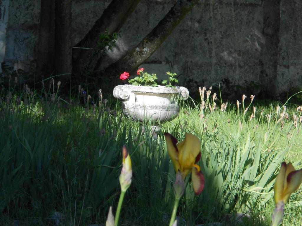 סומור Clos Du Bois Brard B&B מראה חיצוני תמונה